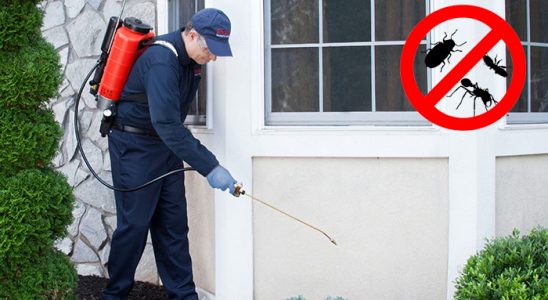 Mustafakemalpaşa Böcek ve Haşere İlaçlama böcek ilaçlama ve haşere kontrolü — ilaclama-tr.com